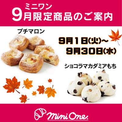 [donkuedite/mini One]仅限9月的商品的方案里面的"微型栗子/shokoramakadamia年糕"